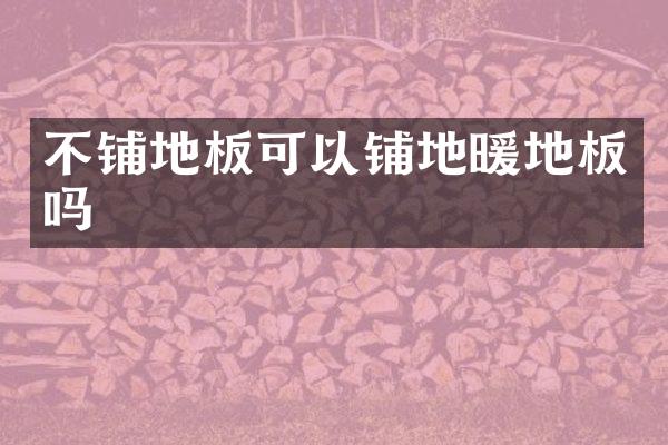 不铺地板可以铺地暖地板吗