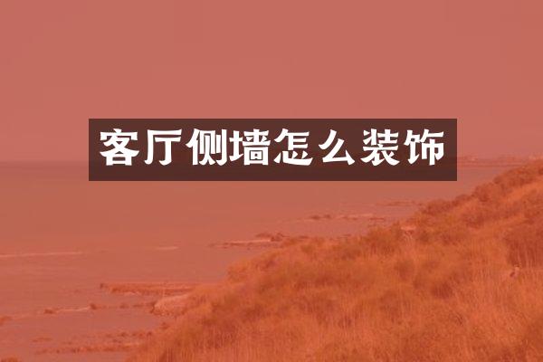 客厅侧墙怎么装饰