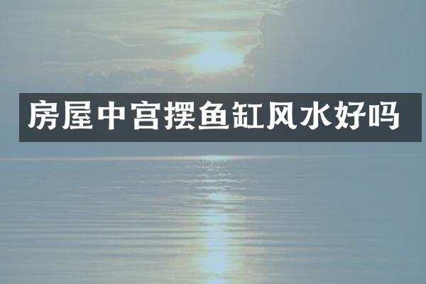 房屋中宫摆鱼缸风水好吗