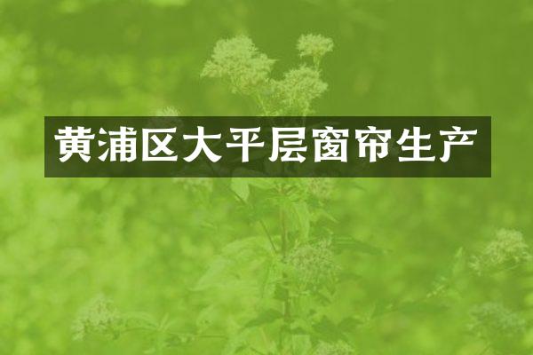 黄浦区大平层窗帘生产