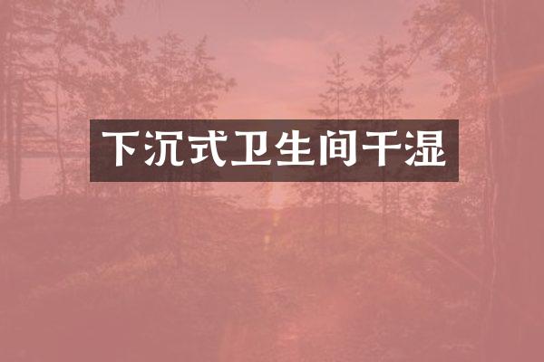 下沉式卫生间干湿