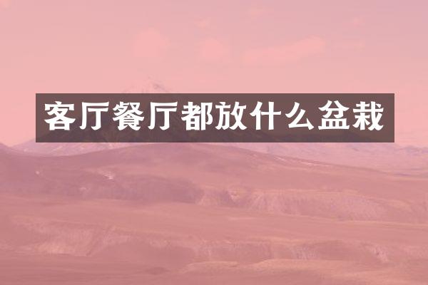 客厅餐厅都放什么盆栽