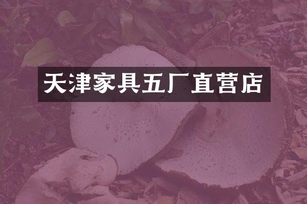 天津家具五厂直营店