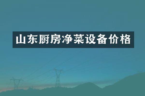 山东厨房净菜设备价格