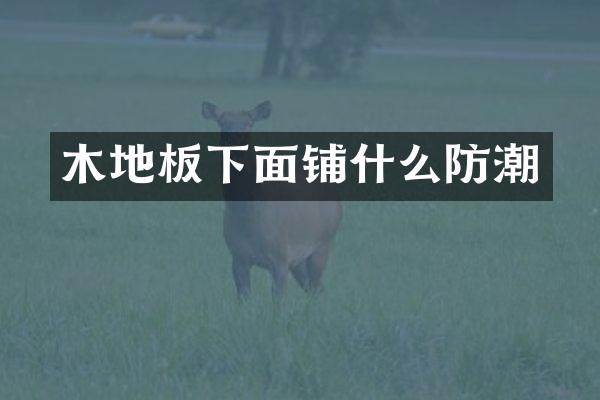 木地板下面铺什么防潮