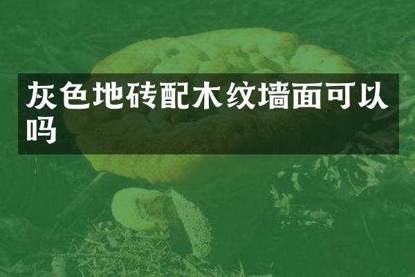 灰色地砖配木纹墙面可以吗