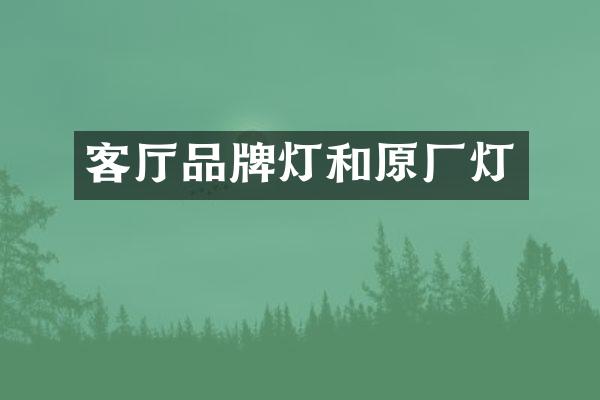 客厅品牌灯和原厂灯