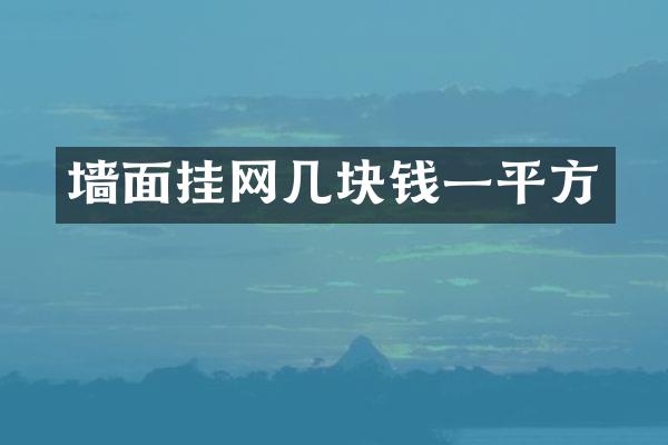 墙面挂网几块钱一平方
