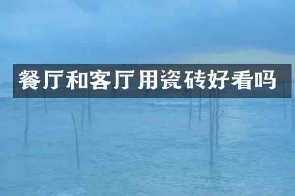 餐厅和客厅用瓷砖好看吗