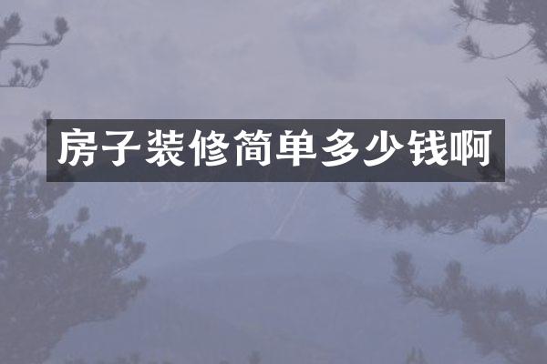 房子装修简单多少钱啊