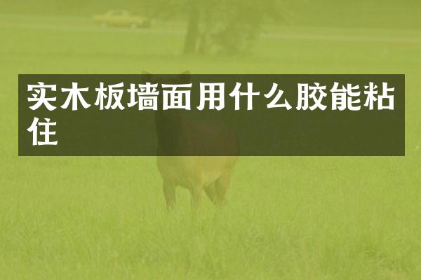 实木板墙面用什么胶能粘住