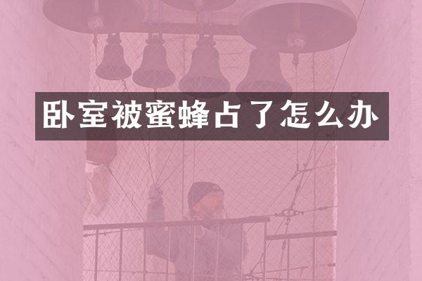 卧室被蜜蜂占了怎么办