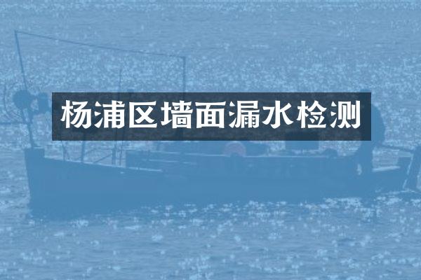 杨浦区墙面漏水检测