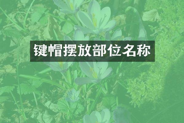 键帽摆放部位名称