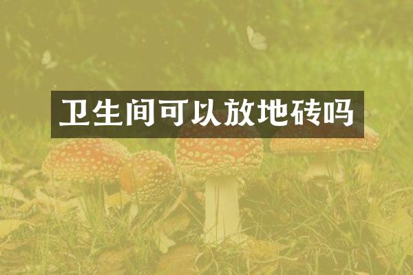 卫生间可以放地砖吗
