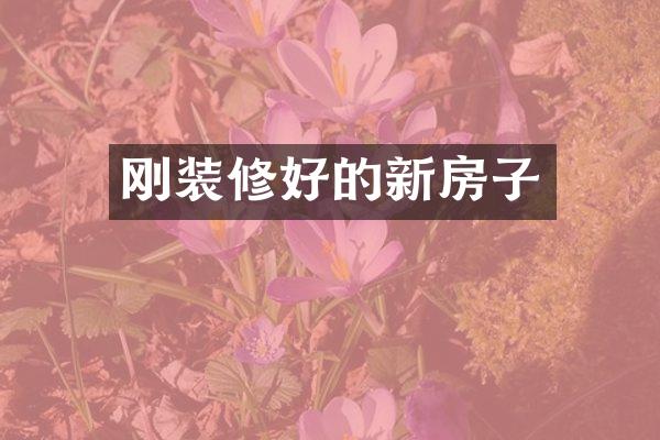 刚装修好的新房子