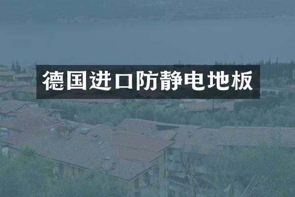 德国进口防静电地板