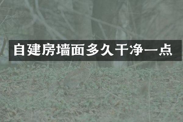 自建房墙面多久干净一点