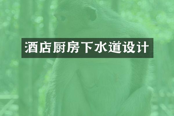酒店厨房下水道设计