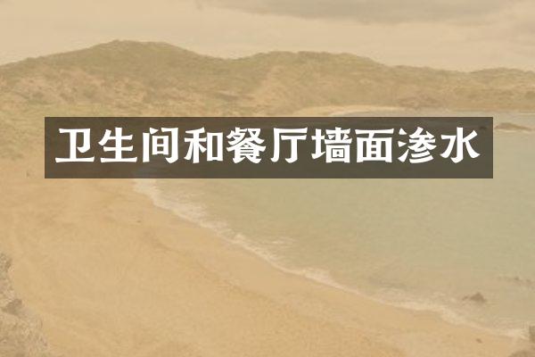 卫生间和餐厅墙面渗水
