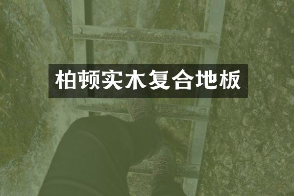 柏顿实木复合地板