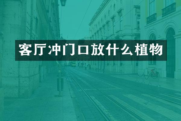 客厅冲门口放什么植物