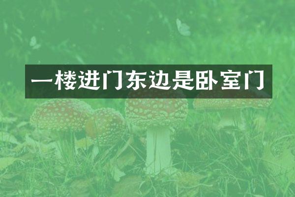 一楼进门东边是卧室门