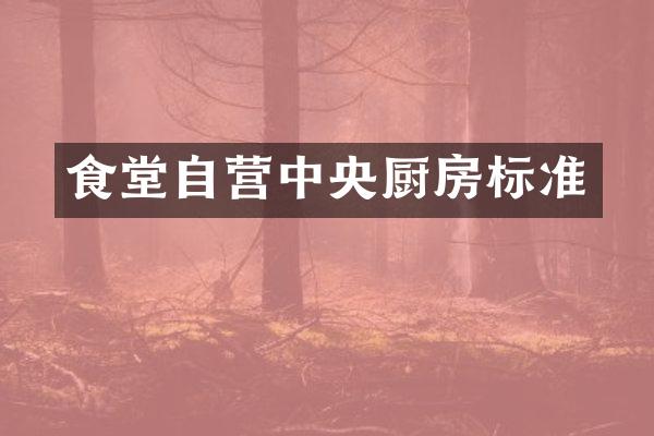 食堂自营中央厨房标准