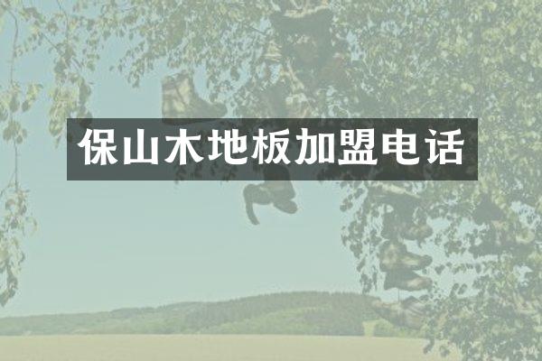 保山木地板加盟电话