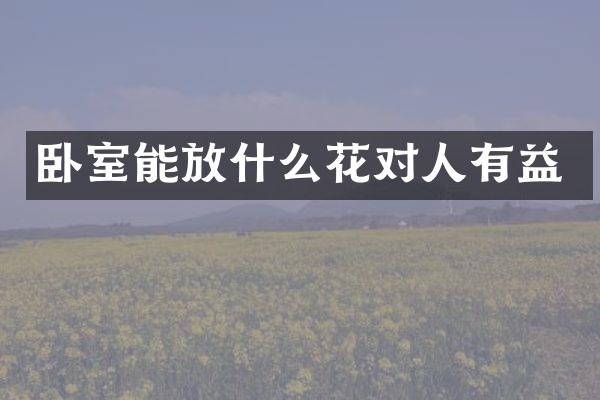 卧室能放什么花对人有益