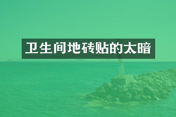 卫生间地砖贴的太暗