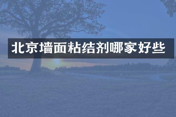北京墙面粘结剂哪家好些