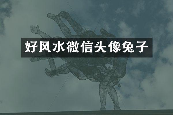 好风水微信头像兔子