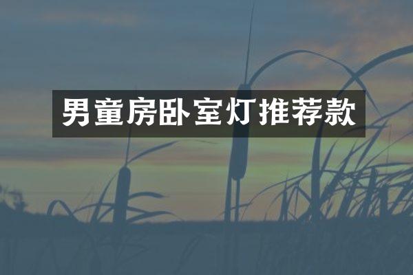 男童房卧室灯推荐款