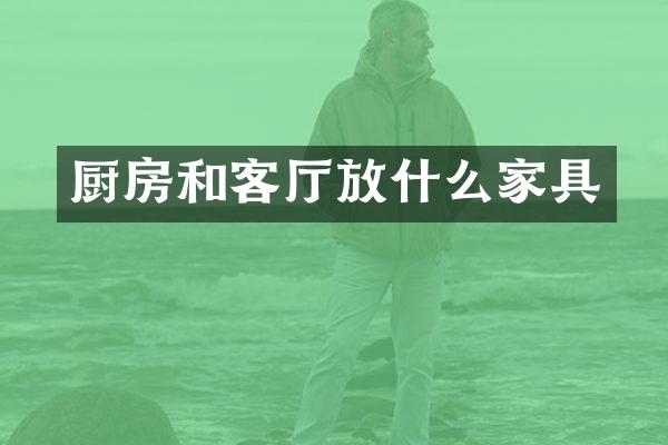厨房和客厅放什么家具