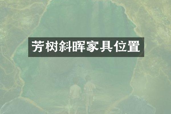 芳树斜晖家具位置