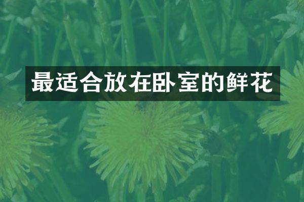 最适合放在卧室的鲜花
