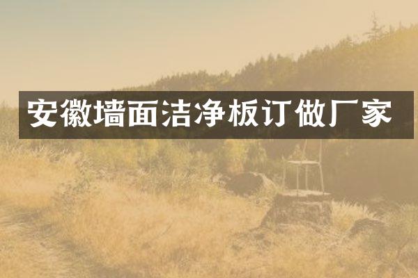 安徽墙面洁净板订做厂家