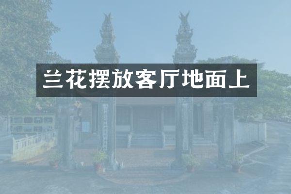 兰花摆放客厅地面上