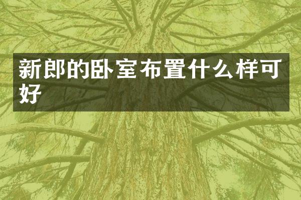 新郎的卧室布置什么样可好