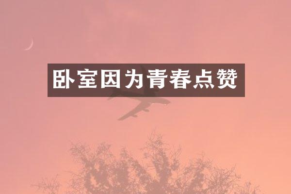 卧室因为青春点赞