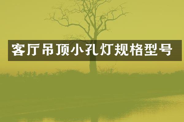 客厅吊顶小孔灯规格型号
