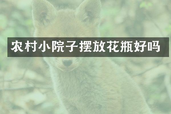 农村小院子摆放花瓶好吗