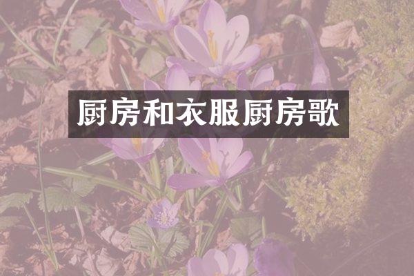 厨房和衣服厨房歌