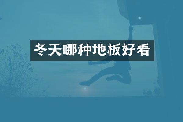 冬天哪种地板好看