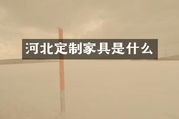 河北定制家具是什么