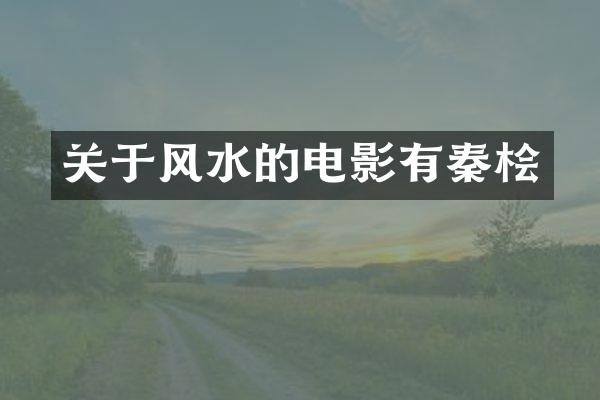 关于风水的电影有秦桧
