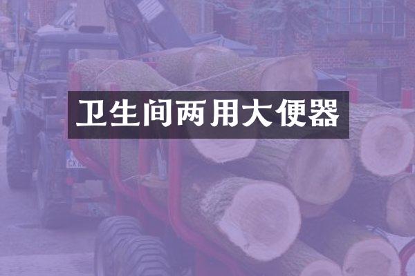卫生间两用大便器