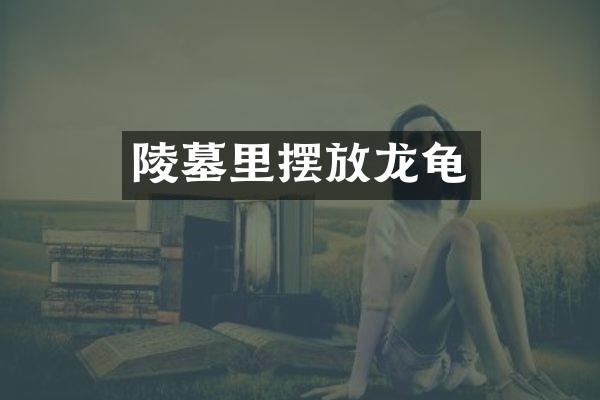 陵墓里摆放龙龟