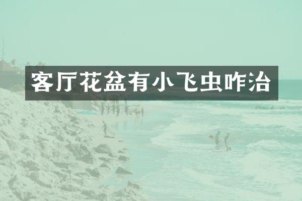 客厅花盆有小飞虫咋治